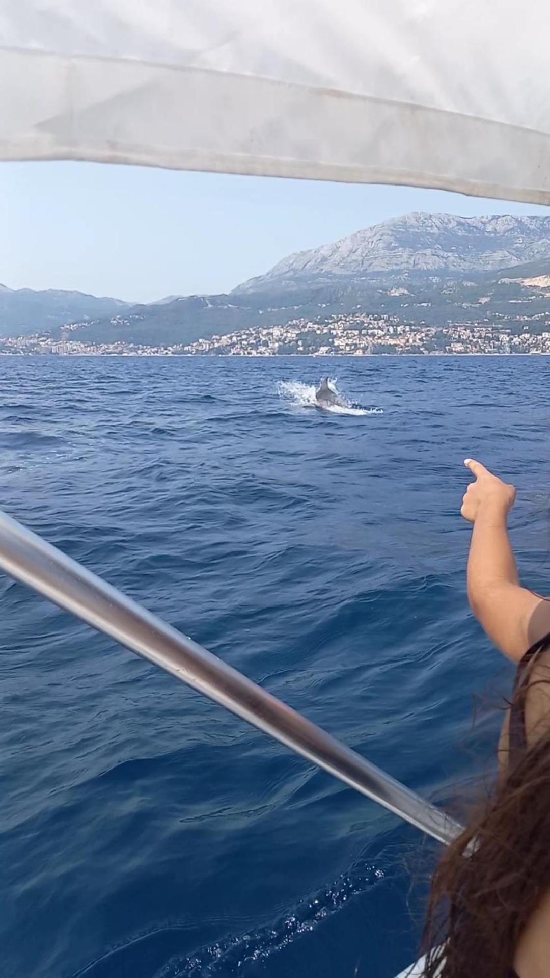 Apartmani Milena Herceg Novi Eksteriør bilde